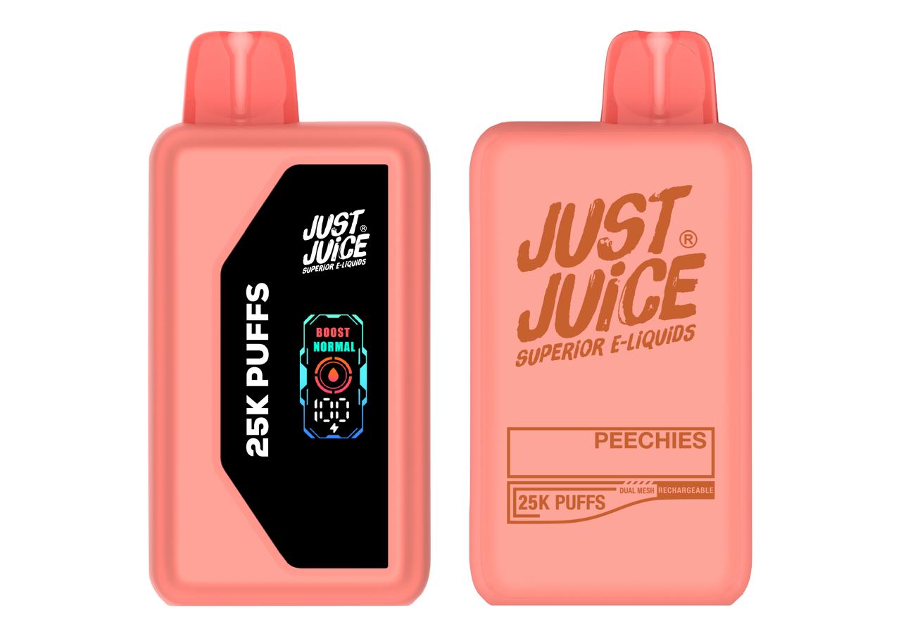 Just Juice 25k Puff Disposable